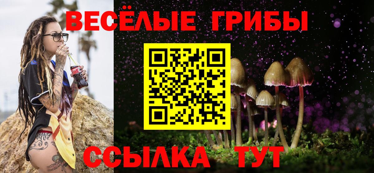 Галлюциногенные грибы Psilocybine cubensis Ханты-Мансийск