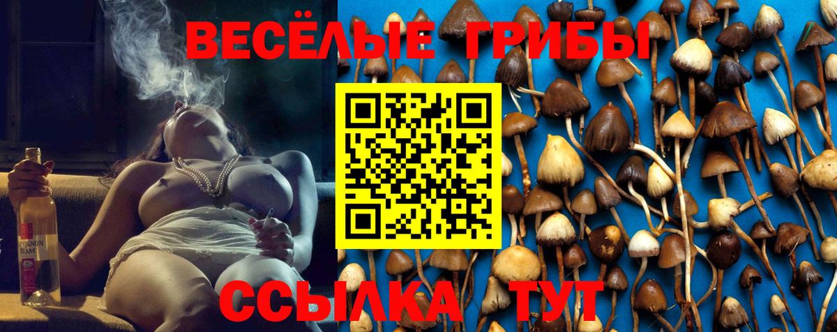 Псилоцибиновые грибы Psilocybine cubensis  Вход с VPN  Псилоцибиновые грибы прущие грибы  Ханты-Мансийск 